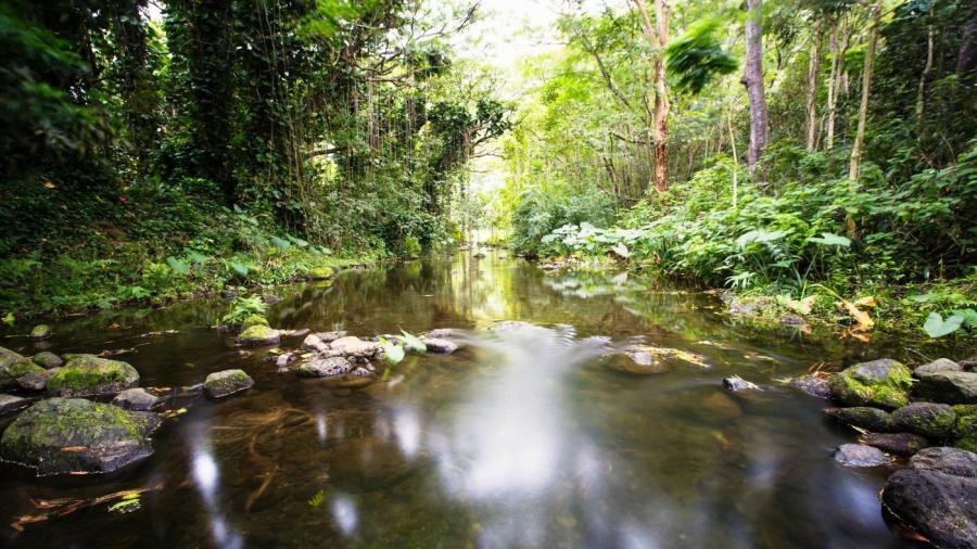 what-is-a-small-river-that-flows-into-a-larger-river-called