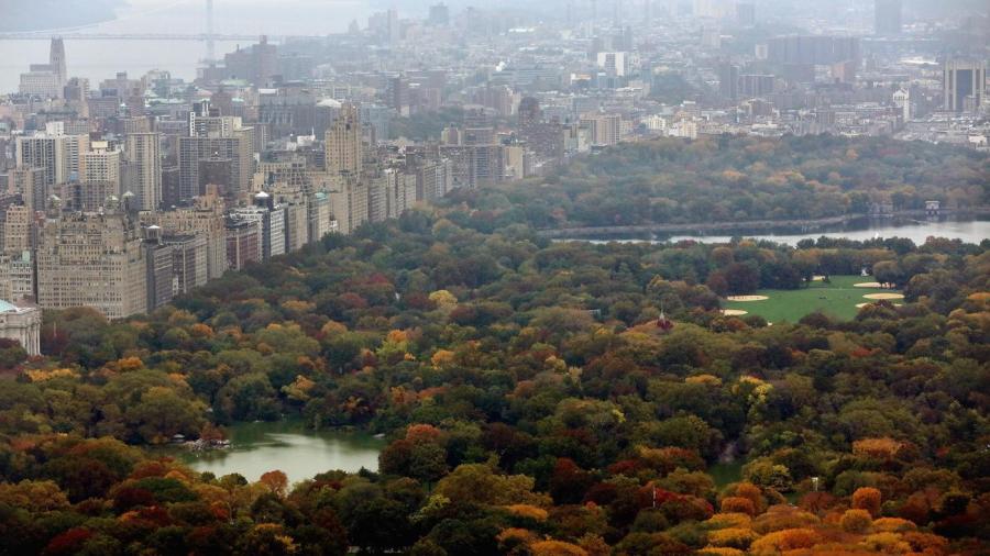 What Is the Size of Central Park in New York?